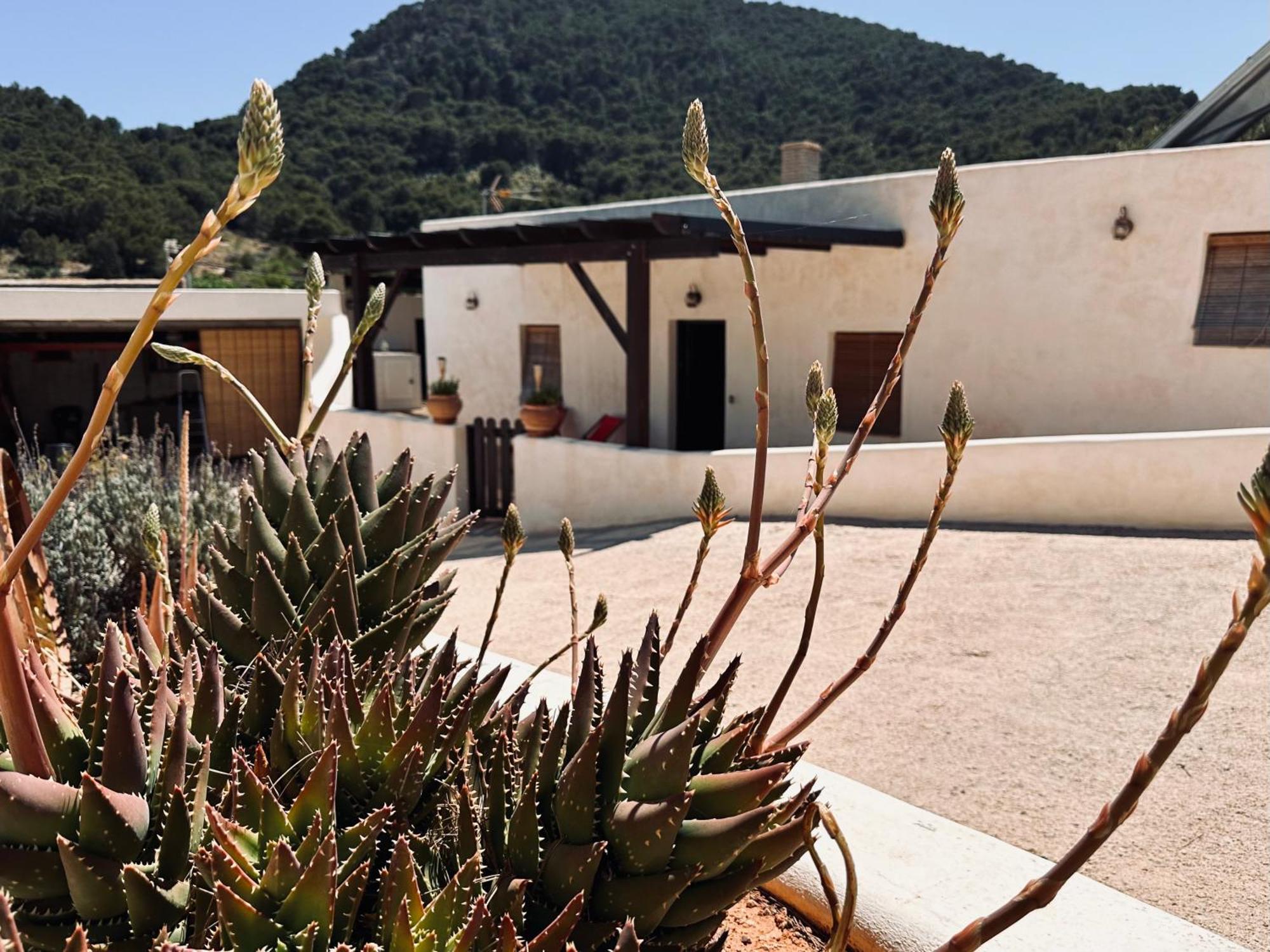 Finca Ocha - Calblanque Los Belones Exterior foto
